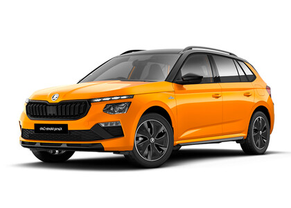 Ворсовые коврики на Skoda Kamiq (Европа) 2019&nbsp;-&nbsp;2026 в Красноярске