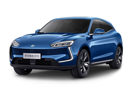 Коврики на Seres SF5 2019&nbsp;-&nbsp;2022 в Красноярске