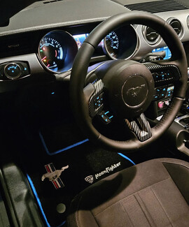 Ворсовые коврики на Ford Mustang VI 2013&nbsp;-&nbsp;2023 в Красноярске
